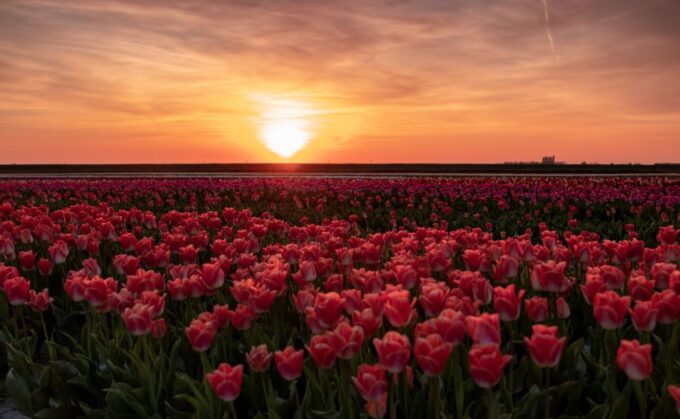 Hillegom: Guided E-Bike Tour at Sunset Near Keukenhof - Frequently Asked Questions