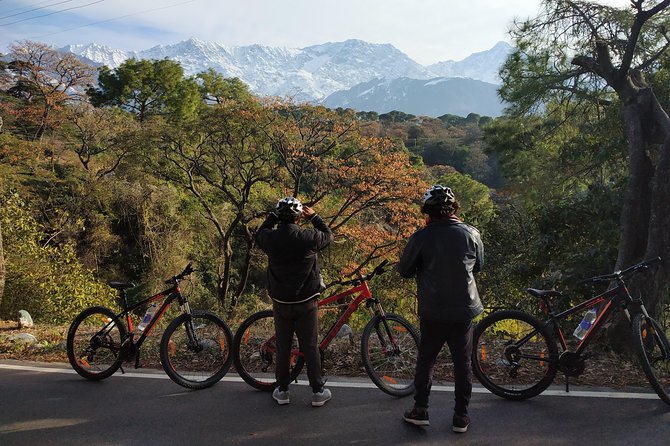 Hilloferry - a Guided Cycling Tour - Equipment and Safety