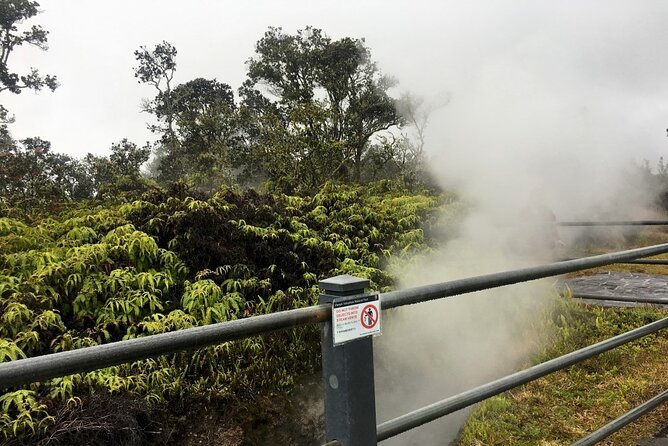 Hilo and Volcano National Park Tour a Cruise Ship Excursion W/Pu - Tour Schedule and Operating Hours