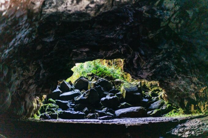 Hilo: Elite Volcano Hike - Customer Feedback Highlights
