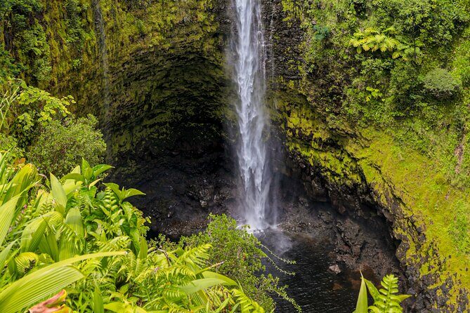 Hilo Excursion Volcanoes Akaka Falls And Black Sand Beach - Who Should Consider This Tour?