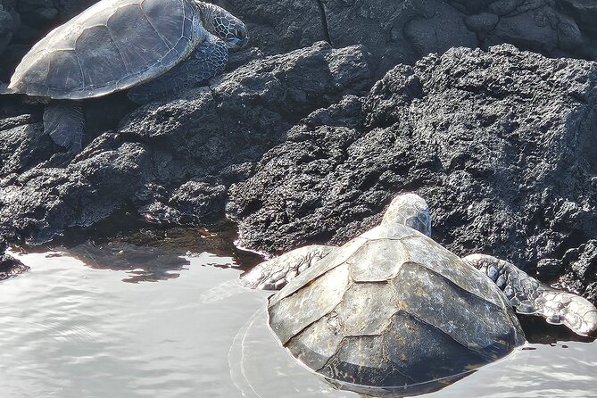 Hilo Guided Day Tour by Native Hawaiians - Taking in Hawaiian Culture