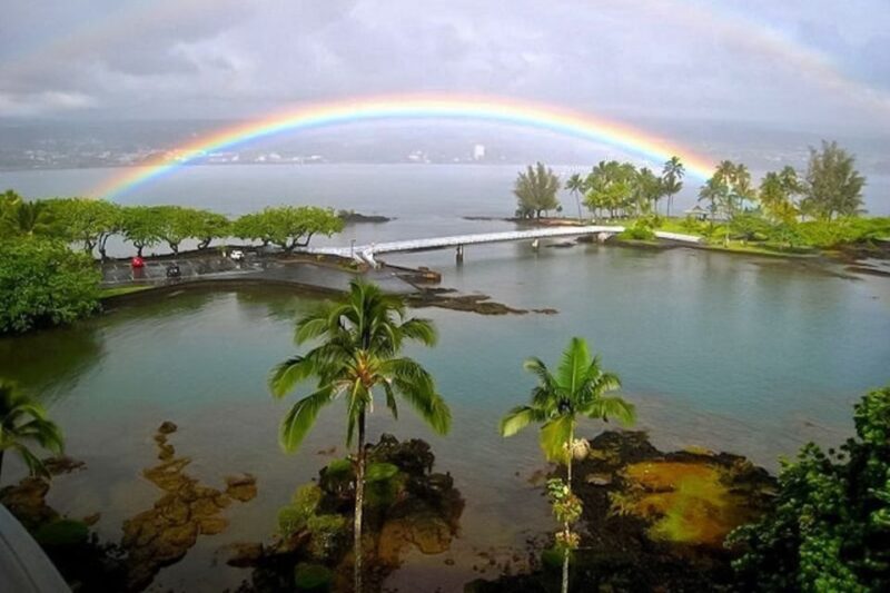 Hilo: Hilo Bay and Coconut Island SUP Guided Tour - Key Points