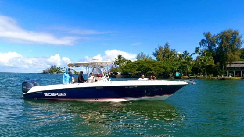 Hilo: Humpback Whale-Watching Cruise with Snacks and Drinks - A Deep Dive into the Whale-Watching Adventure