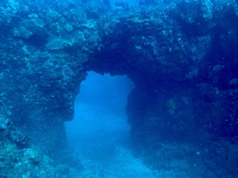Hilo: Night Dive for Certified Divers - Inclusions