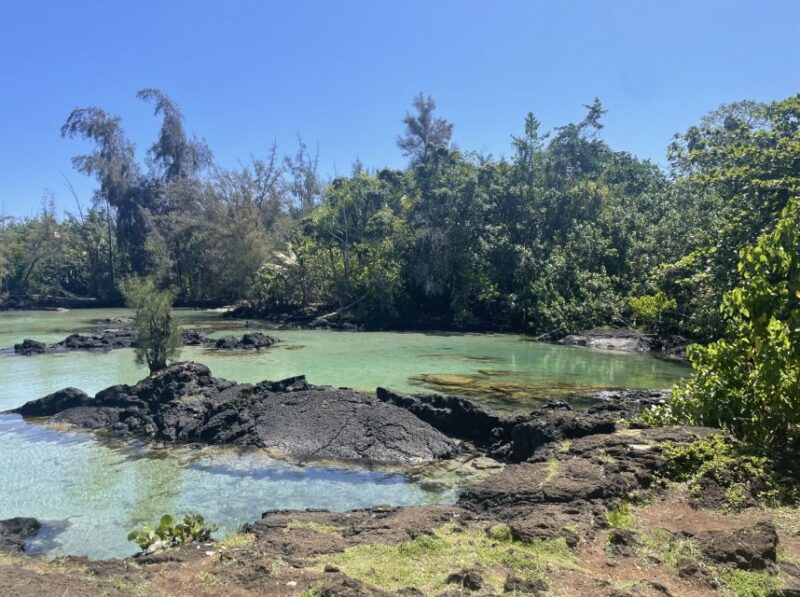 Hilo: Sea Turtle Lagoon and Black Sand Beach Snorkel - Guided Tour