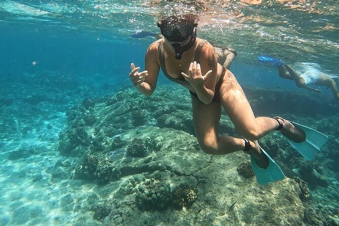 Hilo Sea Turtle Snorkel Adventure - Tour Duration and Group Size
