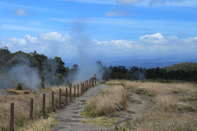 Hilo Shore Excursion: Active Volcano, Lava Tube, Waterfall and Gardens - Indulge in Locally Sourced Chocolate Delights