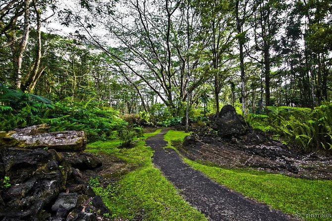 Hilo Shore Excursion: Safari Lava Caves, Falls and Highlights - Logistics