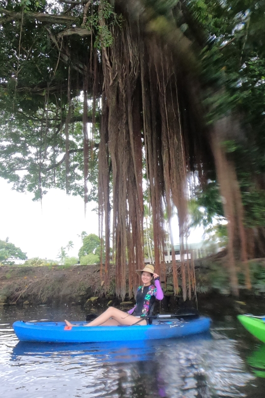Hilo: Wailoa River to King Kamehameha Guided Kayaking Tour - Activity Highlights