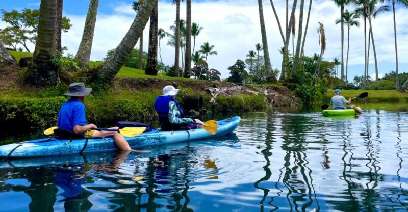 Hilo: Wailoa River to King Kamehameha Guided Kayaking Tour - Inclusions