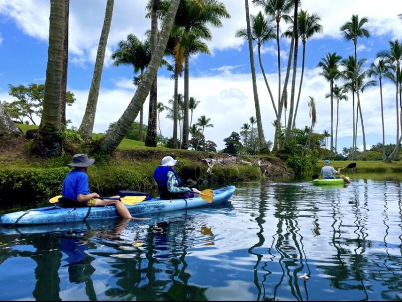 Hilo: Wailoa River to King Kamehameha Guided Kayaking Tour - Participant Restrictions