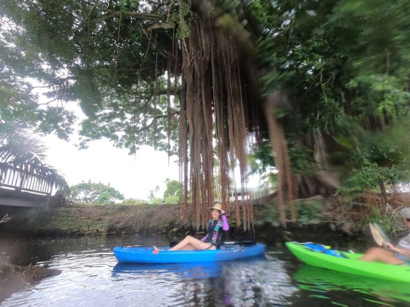 Hilo: Wailoa River to King Kamehameha Guided Kayaking Tour - Customer Reviews