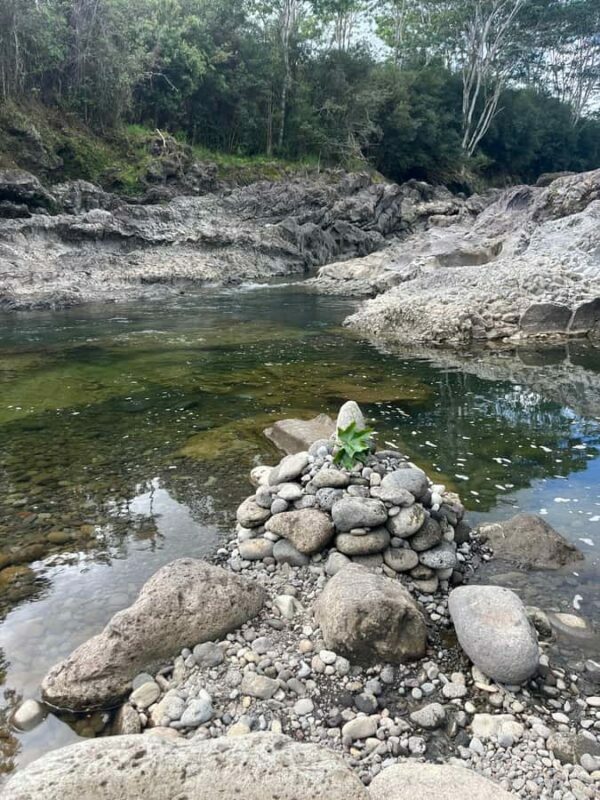Hilo: Waterfall Hike and Swim with Native Hawaiian - Who Should Book This Tour?