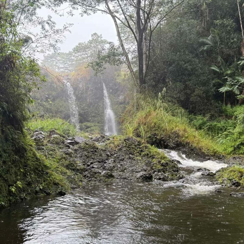 Hilo: Waterfall Hike and Swim with Native Hawaiian - FAQs