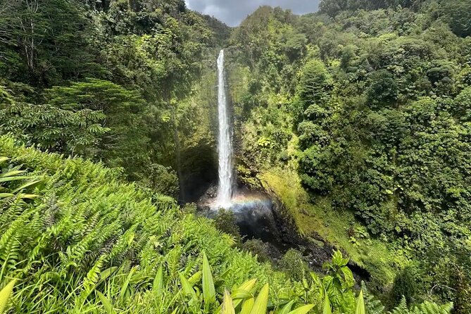 Hilo Waterfall Hike and Swim With Native Hawaiian - Booking Information and Policies