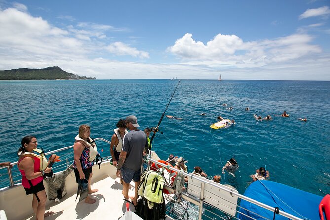 Hilton Hawaiian Village Turtle Snorkel With Optional Lunch - Turtle Sighting Experiences
