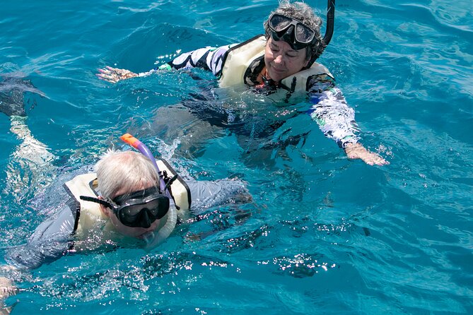 Hilton Hawaiian Village Turtle Snorkel With Optional Lunch - Lunch Options and Satisfaction