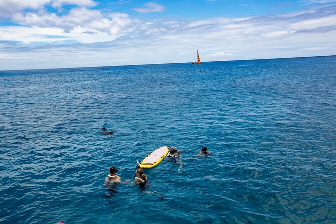 Hilton Hawaiian Village Turtle Snorkel With Optional Lunch - Turtle Sighting Experiences