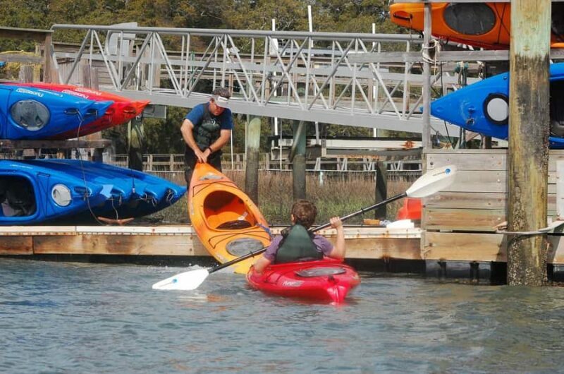Hilton Head: 2-Hour Kayak Dolphin Nature Tour - Exploring the Experience: What to Expect from Start to Finish