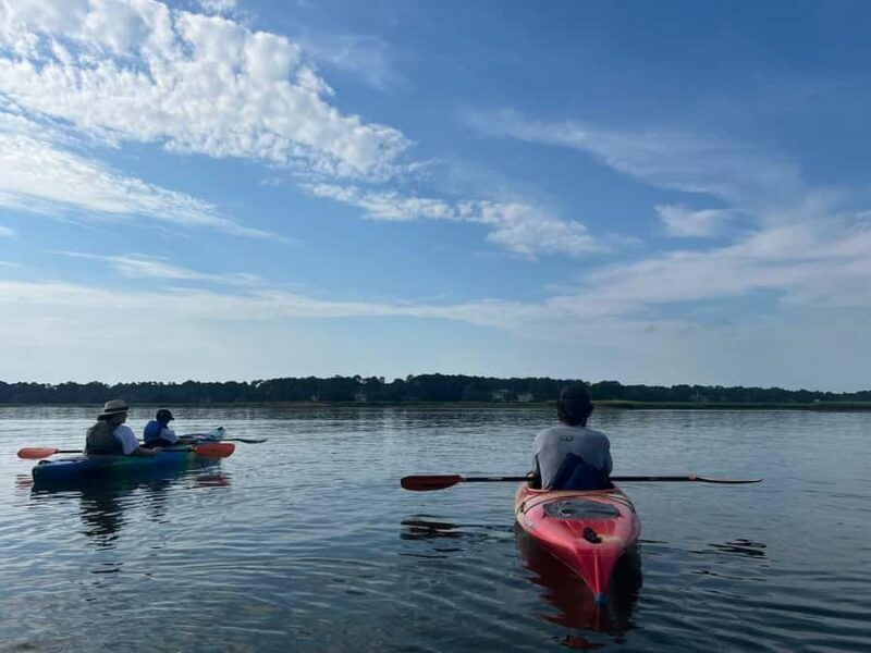 Hilton Head: 2-Hour Kayak Dolphin Nature Tour - Pricing and Value