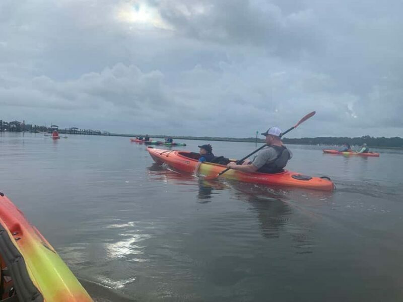 Hilton Head: 2-Hour Kayak Dolphin Nature Tour - Final Thoughts: Is This Tour Worth Your Time?
