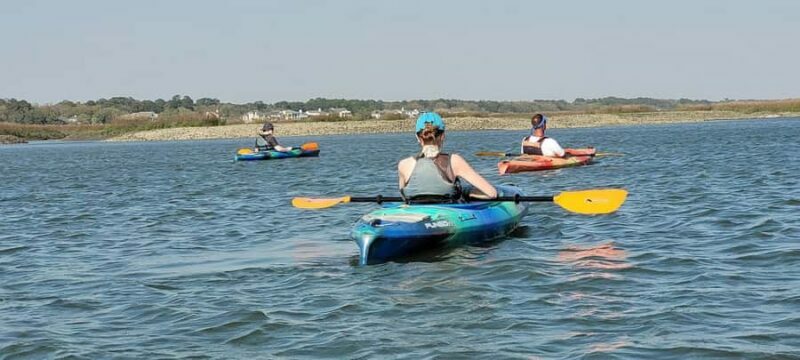 Hilton Head: 2-Hour Kayak Dolphin Nature Tour - FAQs
