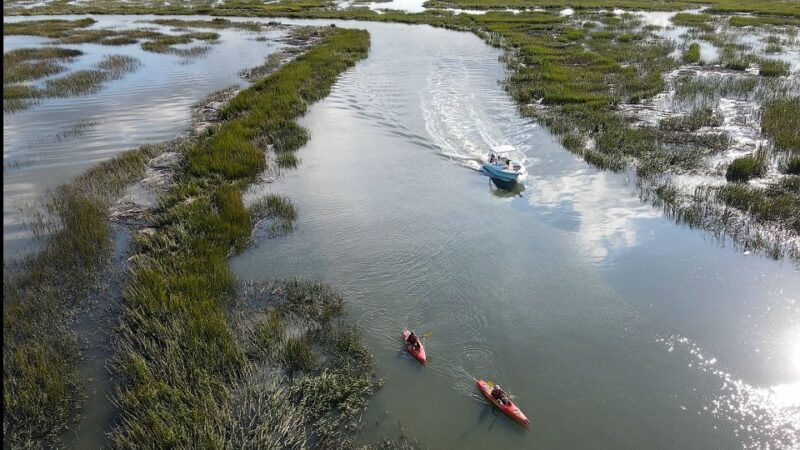Hilton Head: 2 Hour Private Dolphin Tour - Itinerary and Locations