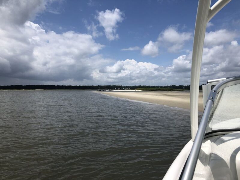Hilton Head: 2 Hour Private Dolphin Tour - Customer Reviews