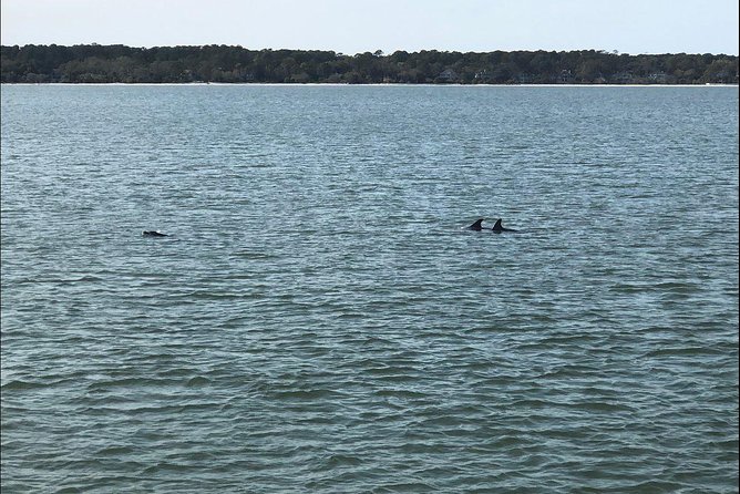 Hilton Head Crabbing Expedition Boat Cruise - Key Points
