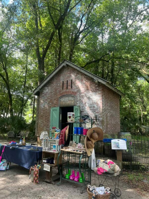 Hilton Head: Daufuskie Island History & Artisans Tour - Practical Tips for Travelers
