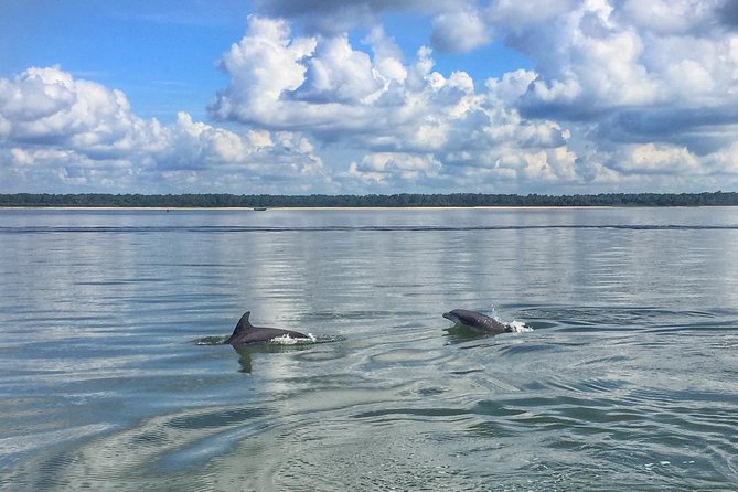 Hilton Head Dolphin Tour With Stop at Disappearing Island - Requirements and Restrictions