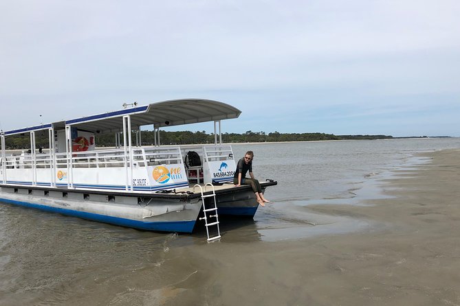 Hilton Head Dolphin Tour With Stop at Disappearing Island - Exploring Disappearing Island