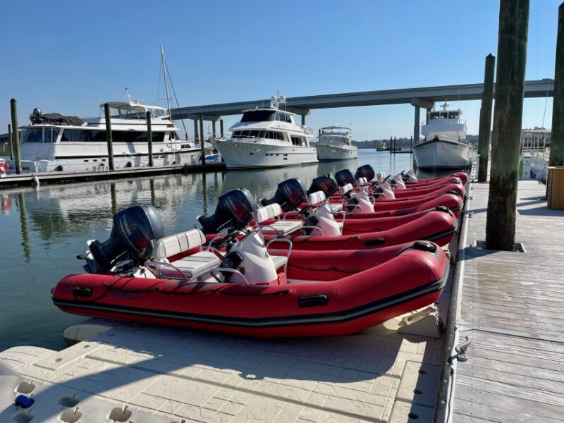 Hilton Head: Guided Disappearing Island Tour by Mini Boat - Itinerary Highlights