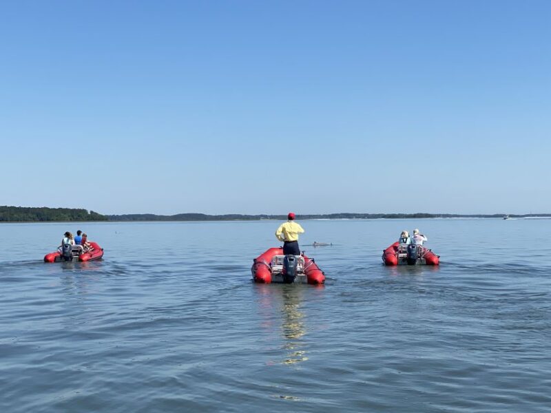 Hilton Head: Guided Disappearing Island Tour by Mini Boat - Important Information