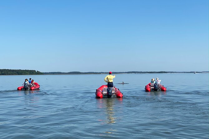 Hilton Head Guided Dolphin Watching & Sightseeing Tour via Mini Boat - Benefits of a Mini Boat Tour