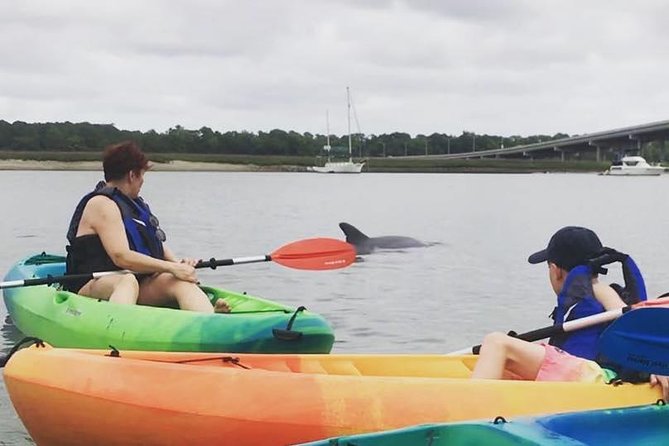 Hilton Head Guided Kayak Eco Tour - Meeting Point