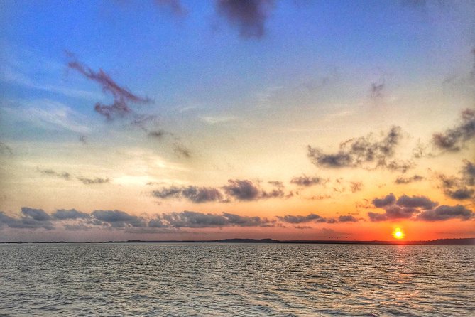 Hilton Head Guided Kayak Eco Tour - Restrictions