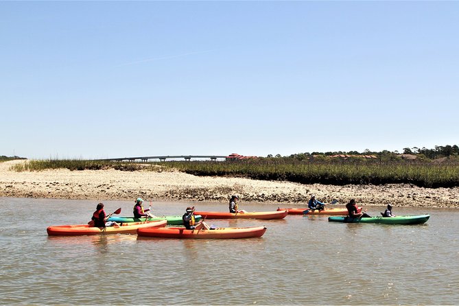 Hilton Head Guided Kayak Eco Tour - Exploring Hilton Heads Waterways