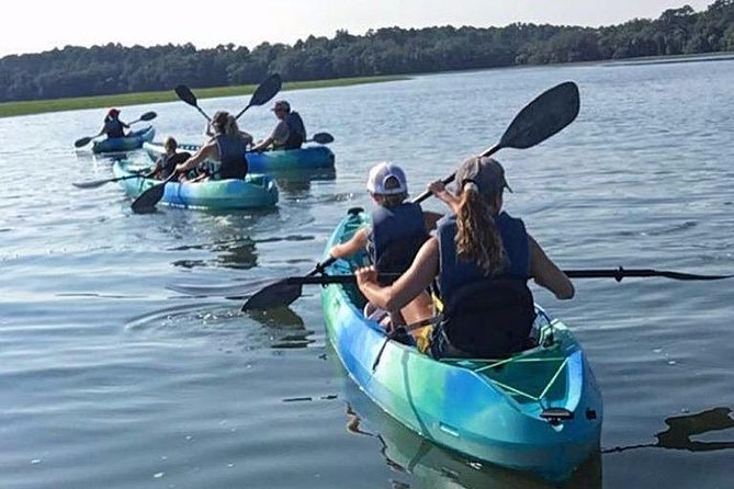 Hilton Head Guided Kayak Tour - Tour Highlights