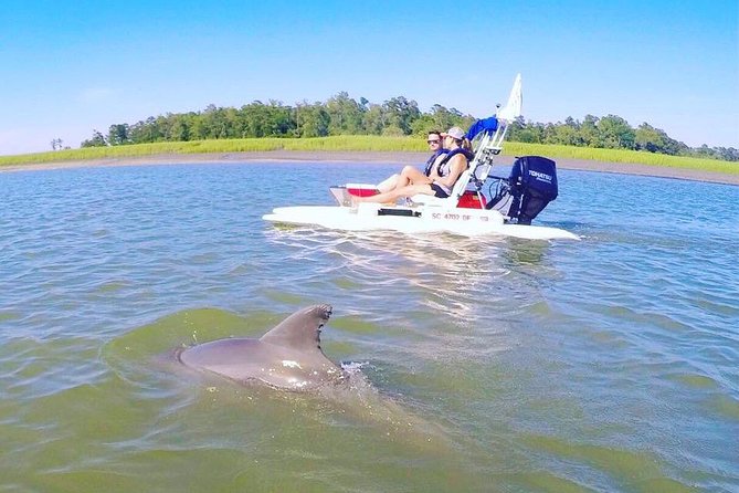 Hilton Head Guided Sunset Creek Cat Tour - Group Size