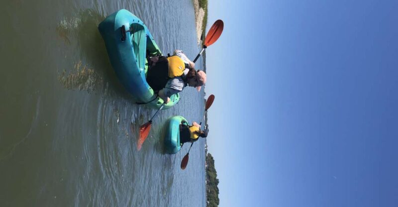 Hilton Head Island: 1.5-Hour Guided Small-Group Kayak Tour - Key Points