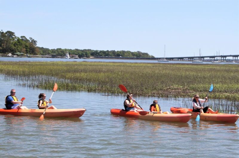 Hilton Head Island: 1.5-Hour Guided Small-Group Kayak Tour - Group Size and Pricing
