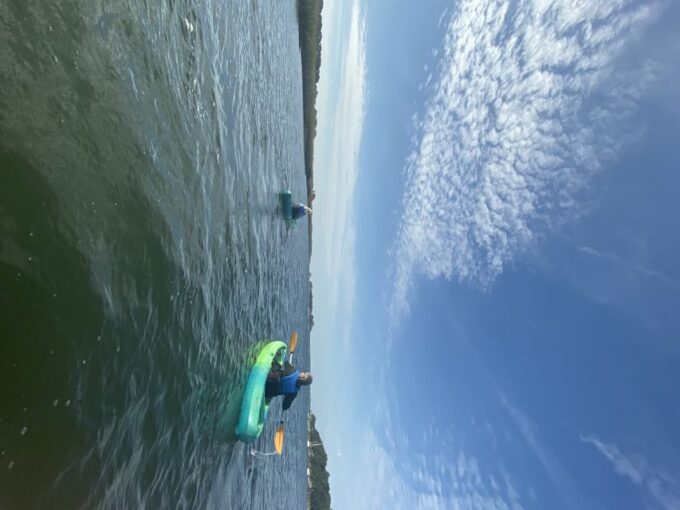 Hilton Head Island: 1.5-Hour Guided Small-Group Kayak Tour - Highlights of the Experience