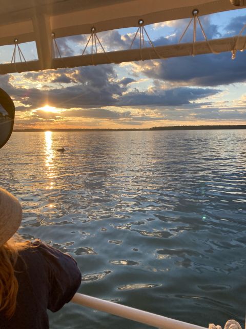 Hilton Head Island: 90-Minute Dolphin & Nature Tour - Meeting Point and Arrival