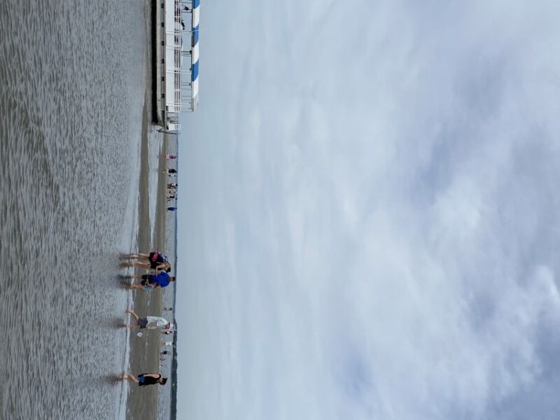 Hilton Head Island: Disappearing Island Dolphin Tour - Activities and Experiences