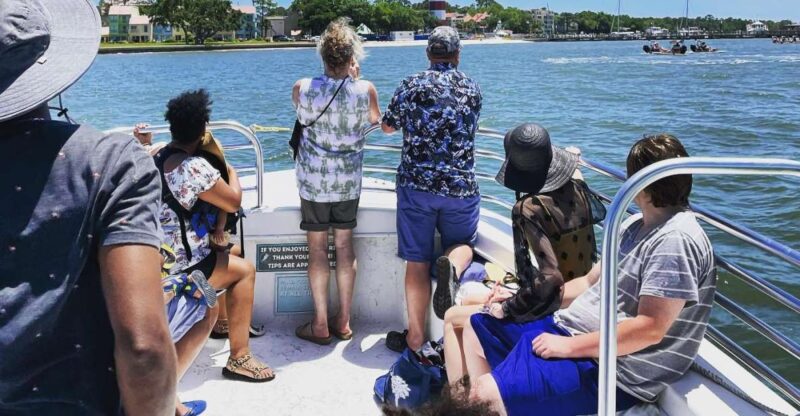 Hilton Head Island: Dolphin Cruise & Nature Tour - Customer Feedback