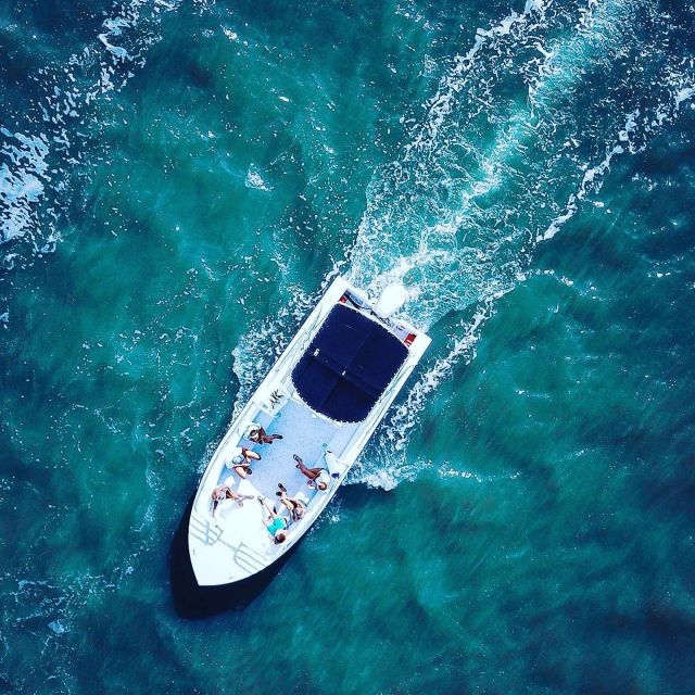 Hilton Head Island: Dolphin Cruise & Nature Tour - Best Time for Sightings