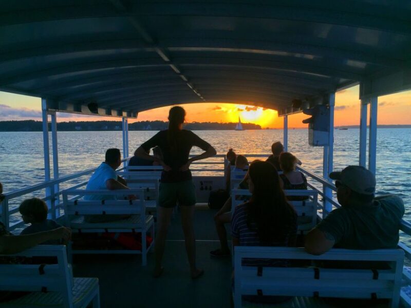Hilton Head Island: Dolphin Tour at Sunset & Fireworks Show - Experience Highlights
