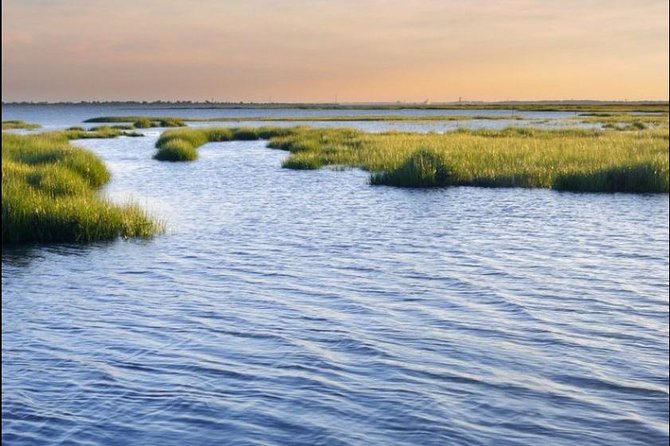 Hilton Head Island Dolphin Watching Nature Cruise - Landmarks and Scenic Views